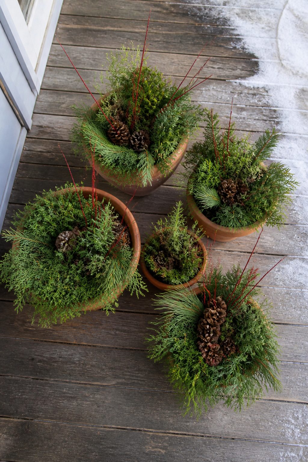8 Simple Outdoor Christmas Decor Ideas for 2026 11 Potted plants surrounded by spruce tips and cedar clippings on porch steps.
