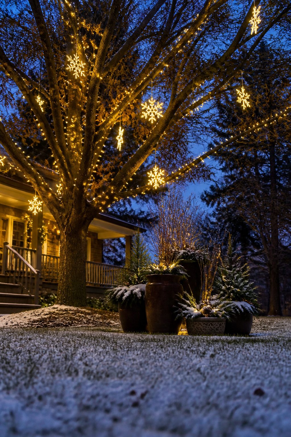 8 Simple Outdoor Christmas Decor Ideas for 2026 5 Snowflake and star motifs illuminated and suspended from tree branches.